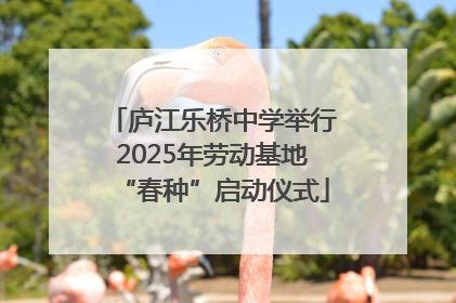 庐江乐桥中学举行2025年劳动基地“春种”启动仪式