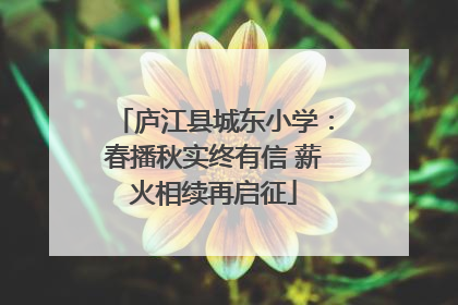 庐江县城东小学：春播秋实终有信 薪火相续再启征