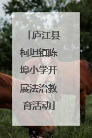庐江县柯坦镇陈埠小学开展法治教育活动