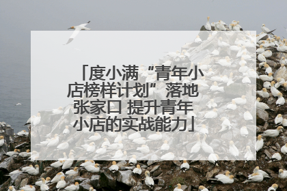 度小满“青年小店榜样计划”落地张家口 提升青年小店的实战能力