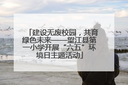 建设无废校园，共育绿色未来——望江县第一小学开展“六五”环境日主题活动
