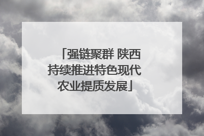 强链聚群 陕西持续推进特色现代农业提质发展