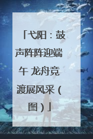 弋阳：鼓声阵阵迎端午 龙舟竞渡展风采（图）