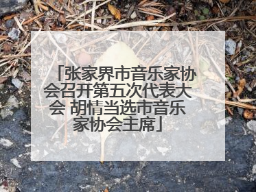 张家界市音乐家协会召开第五次代表大会 胡情当选市音乐家协会主席