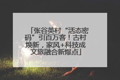 张谷英村“活态密码”引百万客！古村焕新，家风+科技成文旅融合新爆点