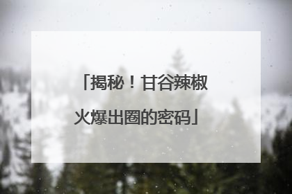 揭秘！甘谷辣椒火爆出圈的密码