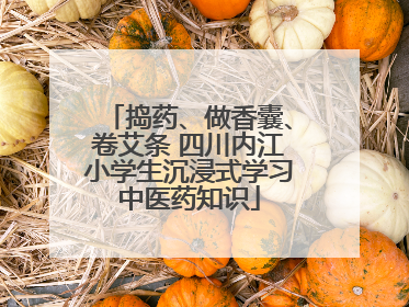 捣药、做香囊、卷艾条 四川内江小学生沉浸式学习中医药知识