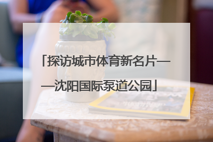 探访城市体育新名片——沈阳国际泵道公园