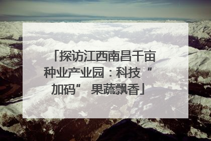 探访江西南昌千亩种业产业园：科技“加码” 果蔬飘香