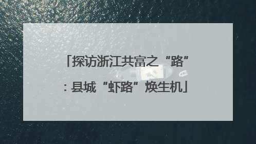 探访浙江共富之“路”：县城“虾路”焕生机