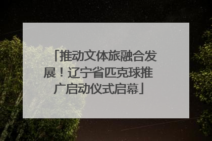 推动文体旅融合发展！辽宁省匹克球推广启动仪式启幕
