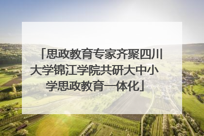 思政教育专家齐聚四川大学锦江学院共研大中小学思政教育一体化