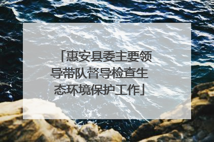 惠安县委主要领导带队督导检查生态环境保护工作