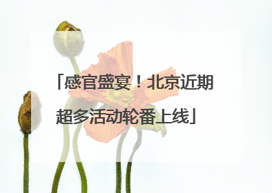 感官盛宴！北京近期超多活动轮番上线