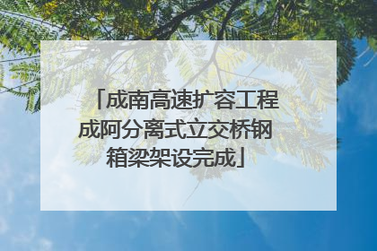成南高速扩容工程成阿分离式立交桥钢箱梁架设完成