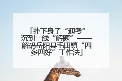 扑下身子“迎考” 沉到一线“解题”——解码岳阳县毛田镇“四多四好”工作法