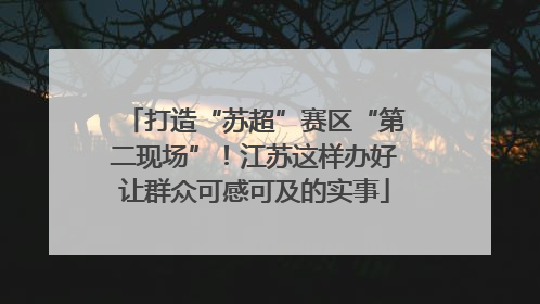打造“苏超”赛区“第二现场”！江苏这样办好让群众可感可及的实事