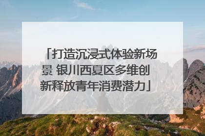 打造沉浸式体验新场景 银川西夏区多维创新释放青年消费潜力