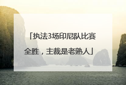 执法3场印尼队比赛全胜，主裁是老熟人