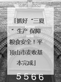 抓好“三夏”生产 保障粮食安全！平顶山市麦收基本完成