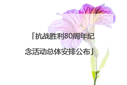 抗战胜利80周年纪念活动总体安排公布