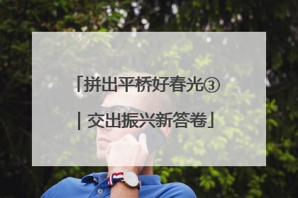 拼出平桥好春光③｜交出振兴新答卷