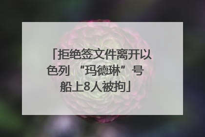 拒绝签文件离开以色列 “玛德琳”号船上8人被拘