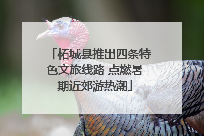 柘城县推出四条特色文旅线路 点燃暑期近郊游热潮