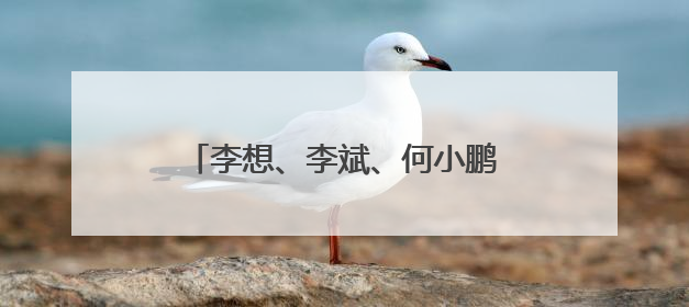 李想、李斌、何小鹏齐祝小米YU7大卖
