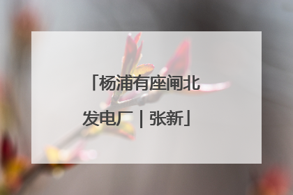 杨浦有座闸北发电厂｜张新