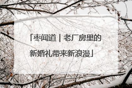 枣闻道｜老厂房里的新婚礼带来新浪漫