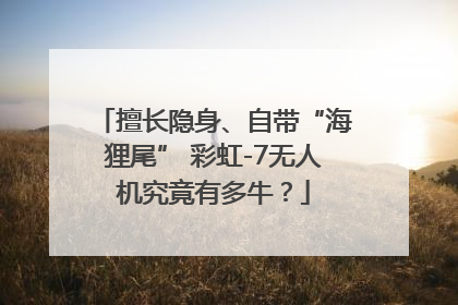 擅长隐身、自带“海狸尾” 彩虹-7无人机究竟有多牛？