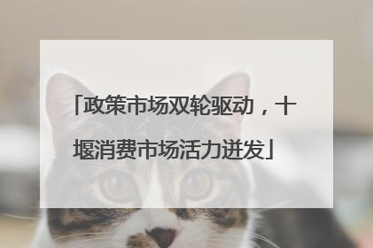 政策市场双轮驱动，十堰消费市场活力迸发