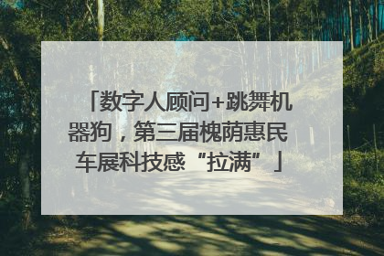 数字人顾问+跳舞机器狗，第三届槐荫惠民车展科技感“拉满”