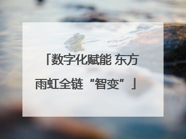 数字化赋能 东方雨虹全链“智变”