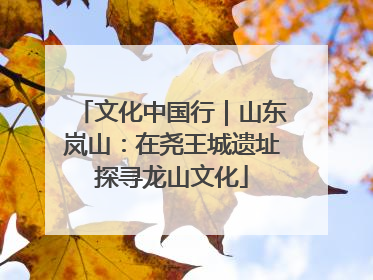 文化中国行｜山东岚山：在尧王城遗址探寻龙山文化