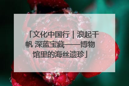 文化中国行｜浪起千帆 深蓝宝藏——博物馆里的海丝遗珍