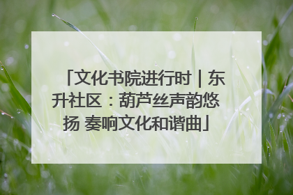 文化书院进行时｜东升社区：葫芦丝声韵悠扬 奏响文化和谐曲