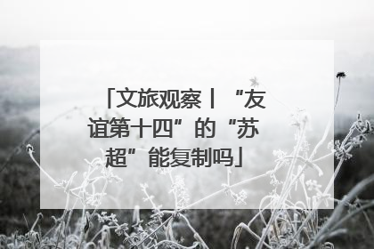 文旅观察丨“友谊第十四”的“苏超”能复制吗