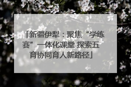 新疆伊犁：聚焦“学练赛”一体化课堂 探索五育协同育人新路径