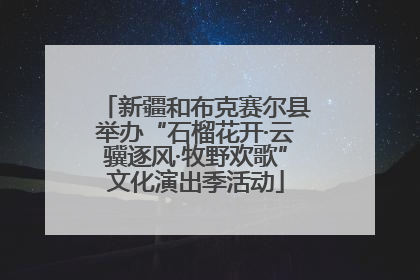 新疆和布克赛尔县举办“石榴花开·云骥逐风·牧野欢歌”文化演出季活动
