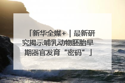 新华全媒+｜最新研究揭示哺乳动物胚胎早期器官发育“密码”