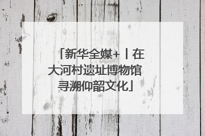 新华全媒+丨在大河村遗址博物馆寻溯仰韶文化