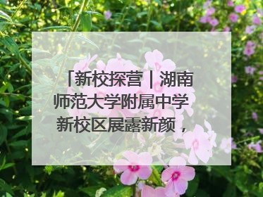 新校探营｜湖南师范大学附属中学新校区展露新颜，9月开学迎新