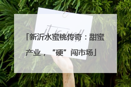 新沂水蜜桃传奇：甜蜜产业，“硬”闯市场