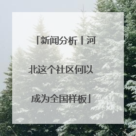 新闻分析丨河北这个社区何以成为全国样板