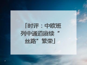 时评：中欧班列中通道赓续“丝路”繁荣