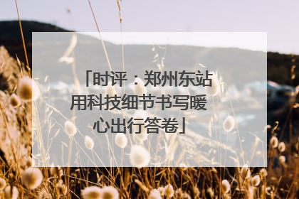 时评：郑州东站用科技细节书写暖心出行答卷