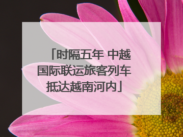 时隔五年 中越国际联运旅客列车抵达越南河内