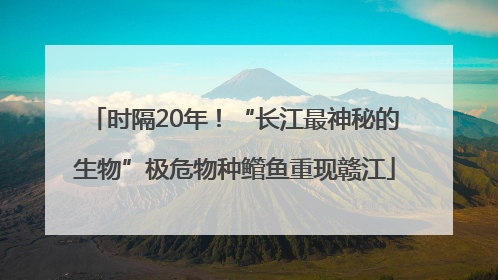 时隔20年！“长江最神秘的生物”极危物种鳤鱼重现赣江